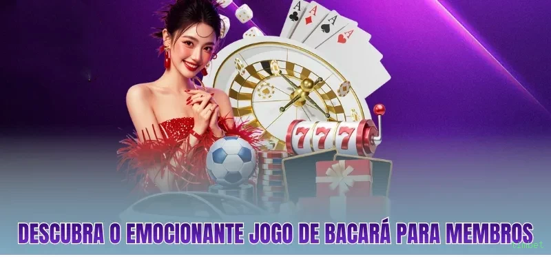 Download gratuito do app da timbet